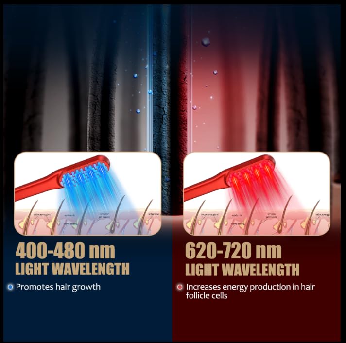 Laser Hair Growth Comb, Red Li - Hair Care Nutrition review and price